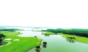 Sân Golf Đại Lải: Điểm Đến Lý Tưởng Cho Golfer và Du Khách