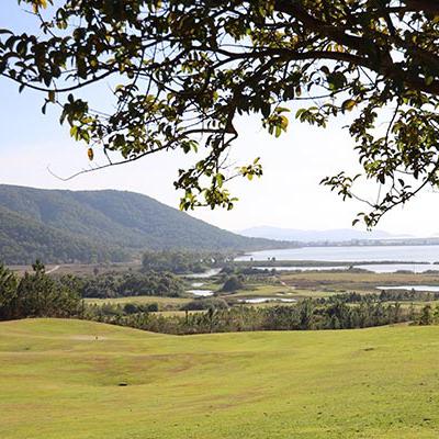 Sân Golf The Dàlat at 1200: Thiên Đường Golf Trên Cao Nguyên